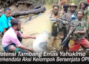 Potensi Tambang Emas Yahukimo Terkendala Aksi Kelompok Bersenjata OPM