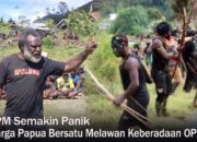 OPM Panik, Warga Papua Bersatu Melawan Keberadaan OPM