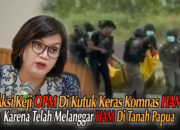 Komnas HAM Kutuk Keras Aksi Keji OPM di Papua: Pelanggaran Berat terhadap Hak Asasi Manusia