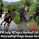 OPM Kodap XI/Dogiyai Kembali Lakukan Gangguan terhadap Warga Sipil Menggunakan Senjata Api dan Anak Panah