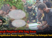 Banyak Pimpinan OPM Tewas, Anggota Mulai Meninggalkan Kelompok dan Kembali ke Masyarakat