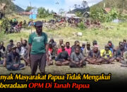 Banyak Masyarakat Papua yang Tidak Mengakui Keberadaan OPM di Tanah Papua