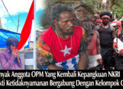 Kian Banyak Anggota OPM Kembali ke Pangkuan NKRI: Cermin Ketidaknyamanan dan Kekecewaan di Dalam Tubuh Organisasi