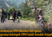 Persembunyian Diketahui, Pergerakan OPM di Papua Semakin Terjepit