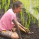 Dorong Swasembada Pangan, Distrik Tomu Tanam Padi di Lahan Rawa Milik Warga
