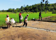 TMMD Tanam Padi Bersama Lahan 2 Ha Program TMMD KE – 124 Kodim 1802/Sorong