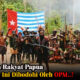 Apakah Rakyat Papua Selama Ini Dibodohi oleh OPM?