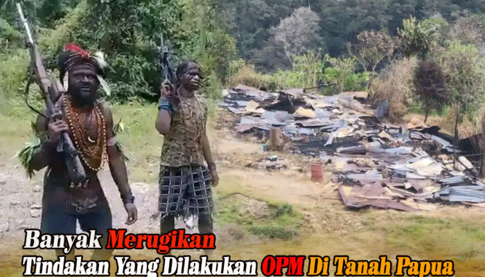 Banyak Merugikan, Tindakan yang Dilakukan OPM di Tanah Papua