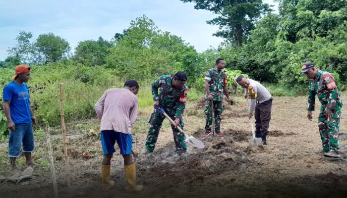 Bhabinkamtibmas Distrik Mantim Polda Papua Barat Bersama Masyarakat Olah Lahan Pertanian Dukung Program Ketahanan Pangan