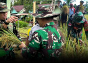 Pangkoops Habema Pastikan Seluruh Personil TNI Dukung Percepatan Target Swasembada Pangan