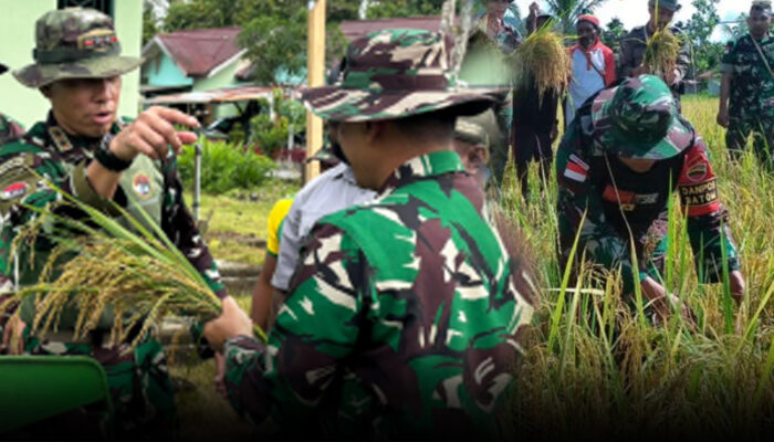 Pangkoops Habema Pastikan Seluruh Personil TNI Dukung Percepatan Target Swasembada Pangan