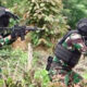 Penjelasan TNI Setelah Dituding Tambah Pasukan ke Wamena