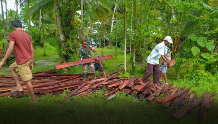 Kuatkan Kebersamaan, Babinsa Biak Kota Bantu Pindahkan Kayu untuk Bangun Kandang Ternak