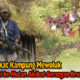 Masyarakat Kampung Mewoluk Mengungsi ke Hutan Akibat Serangan Brutal OPM