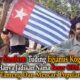 Sebby Sambom Tuding Egianus Kogoya Hanya Jadikan Nama Besar OPM Sebagai Tameng