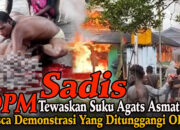 Sadis OPM Tewaskan Warga Suku Agats Asmat Pasca Demonstrasi yang Ditunggangi