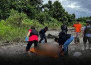 KKB Bantai 5 Warga Sipil di Yahukimo Papua, DPR: Negara Tak Boleh Kalah!