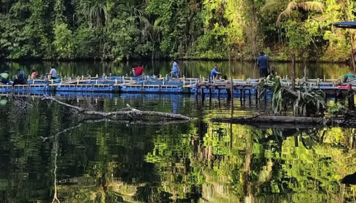 Telaga Serui, Surga Tersembunyi di Papua yang Bikin Kita Ogah Mau Pulang