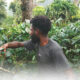 Arnos Urwan, anak muda Pegunungan Bintang angkat kopi Papua ke panggung dunia