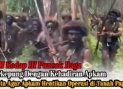 OPM Kodap III Puncak Ilaga Terkepung dengan Kehadiran Apkam, Minta Agar Operasi Dihentikan di Tanah Papua