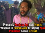 Pemasok Senjata Api dan Munisi OPM Kodap III Puncak Jaya Ditangkap, Pimpinan Gelisah