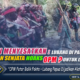 Narasi Menyesatkan: Lubang di Papua Dijadikan Senjata Hoaks OPM untuk Melawan TNI