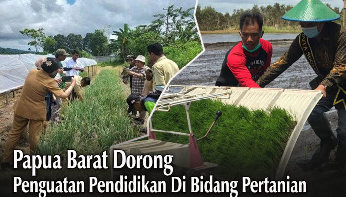 Dukung Swasembada Pangan, Ombudsman Papua Barat Dorong Penguatan Pendidikan Vokasi di Bidang Pertanian