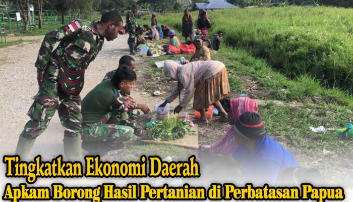 Borong Hasil Petani, Satgas Yonif 732/Banau Hadirkan Harapan Ekonomi di Perbatasan Papua