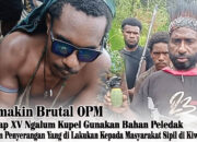 Semakin Brutal, OPM Kodap XV Ngalum Kupel Gunakan Bahan Peledak dalam Serangan terhadap Masyarakat Sipil di Kiwirok