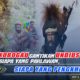 Apeni Kobogau Gantikan Undius Kogeya: Siapa Pahlawan, Siapa Pengkhianat?