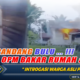 Tak Pandang Bulu! OPM Bakar Rumah dan Introgasi Warga Asli Papua