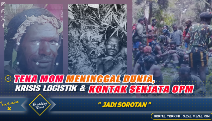 Tena Mom Meninggal Dunia, Krisis Logistik dan Kontak Senjata OPM Jadi Sorotan