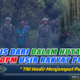 TANGIS DARI DALAM HUTAN: OPM Usir Rakyat Papua, TNI Hadir Menjemput Pulang