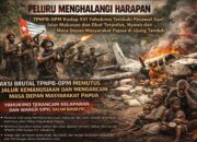 Peluru Menghalangi Harapan: TPNPB-OPM Kodap XVI Yahukimo Tembaki Pesawat Sipil, Jalur Makanan dan Obat Terputus